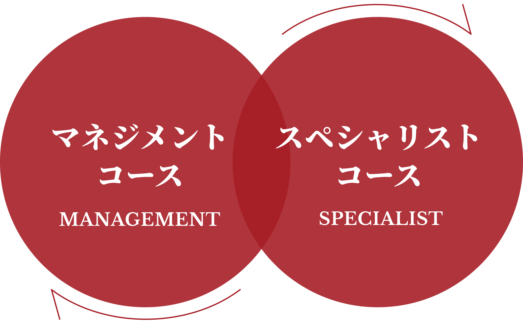 マネジメントコースとスペシャリストコースのキャリアパス